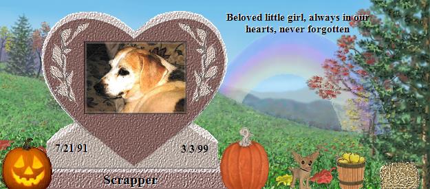 Scrapper's Rainbow Bridge Pet Loss Memorial Residency Image