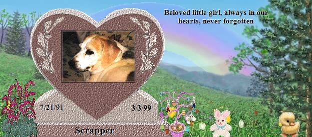 Scrapper's Rainbow Bridge Pet Loss Memorial Residency Image