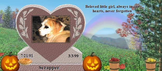 Scrapper's Rainbow Bridge Pet Loss Memorial Residency Image