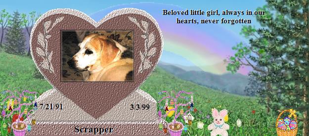 Scrapper's Rainbow Bridge Pet Loss Memorial Residency Image