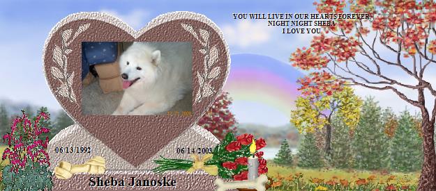 Sheba Janoske's Rainbow Bridge Pet Loss Memorial Residency Image