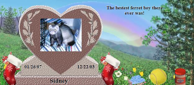 Sidney's Rainbow Bridge Pet Loss Memorial Residency Image