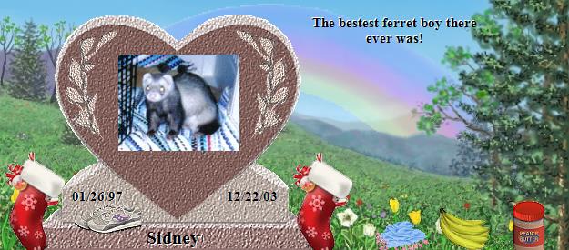 Sidney's Rainbow Bridge Pet Loss Memorial Residency Image