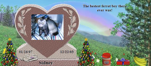 Sidney's Rainbow Bridge Pet Loss Memorial Residency Image
