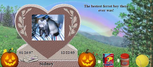 Sidney's Rainbow Bridge Pet Loss Memorial Residency Image