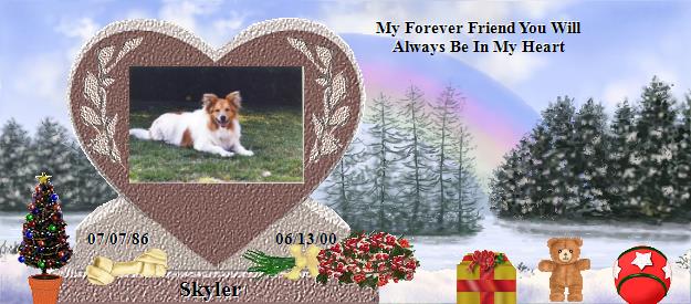 Skyler's Rainbow Bridge Pet Loss Memorial Residency Image