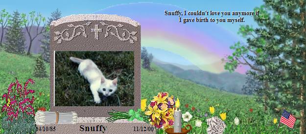 Snuffy's Rainbow Bridge Pet Loss Memorial Residency Image