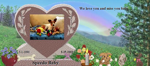 Speedo Baby's Rainbow Bridge Pet Loss Memorial Residency Image