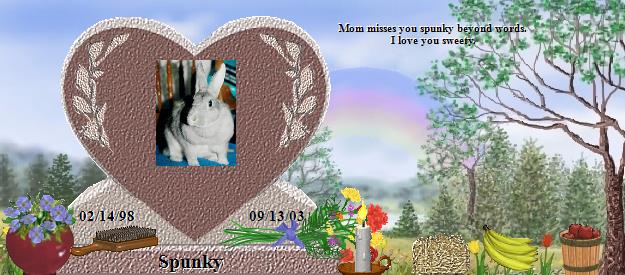 Spunky's Rainbow Bridge Pet Loss Memorial Residency Image