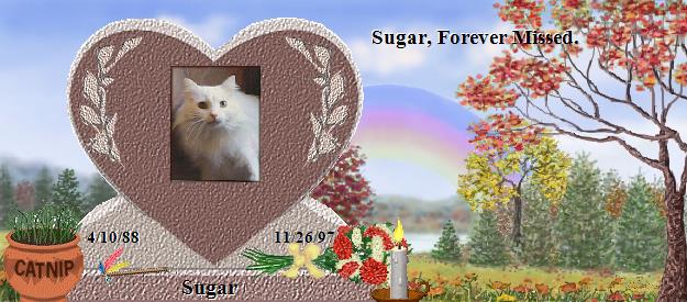 Sugar's Rainbow Bridge Pet Loss Memorial Residency Image