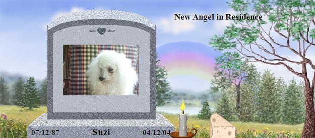 Suzi's Rainbow Bridge Pet Loss Memorial Residency Image