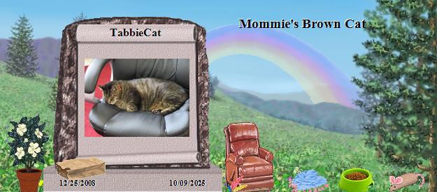 TabbieCat's Rainbow Bridge Pet Loss Memorial Residency Image