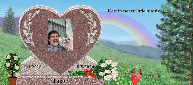 Taco's Rainbow Bridge Pet Loss Memorial Residency Image