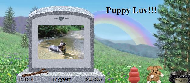 Taggert's Rainbow Bridge Pet Loss Memorial Residency Image