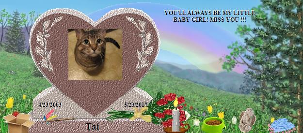 Tai's Rainbow Bridge Pet Loss Memorial Residency Image