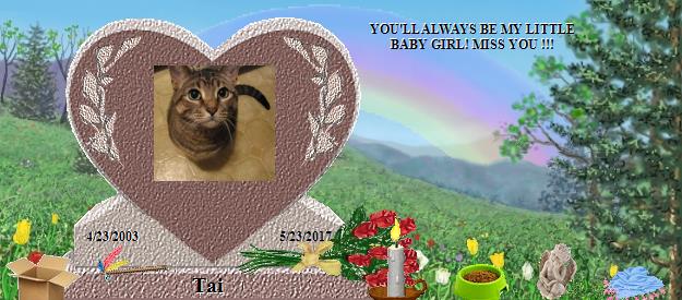 Tai's Rainbow Bridge Pet Loss Memorial Residency Image