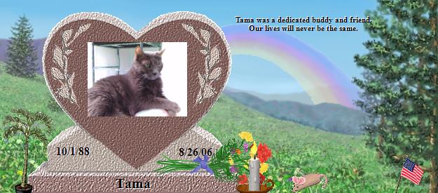 Tama's Rainbow Bridge Pet Loss Memorial Residency Image