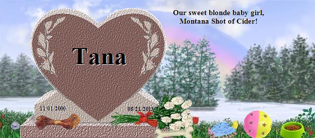 Tana's Rainbow Bridge Pet Loss Memorial Residency Image