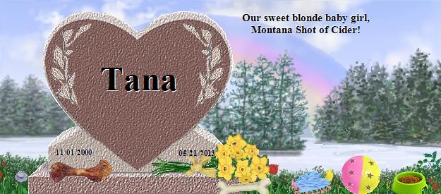 Tana's Rainbow Bridge Pet Loss Memorial Residency Image