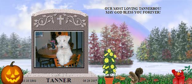 TANNER's Rainbow Bridge Pet Loss Memorial Residency Image