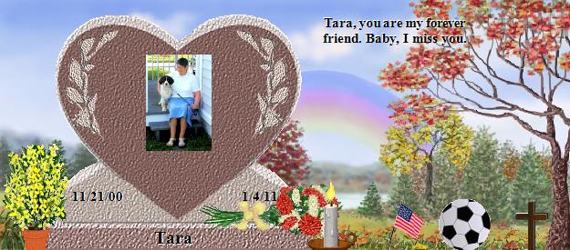 Tara's Rainbow Bridge Pet Loss Memorial Residency Image