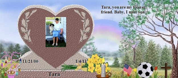 Tara's Rainbow Bridge Pet Loss Memorial Residency Image