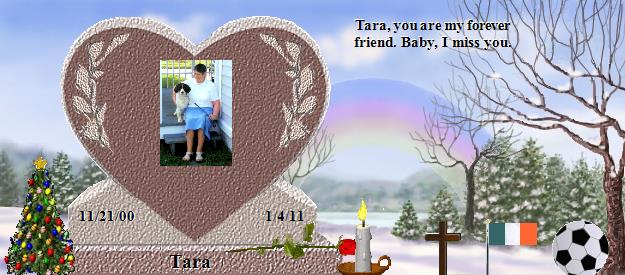 Tara's Rainbow Bridge Pet Loss Memorial Residency Image