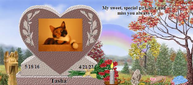 Tasha's Rainbow Bridge Pet Loss Memorial Residency Image