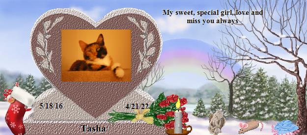 Tasha's Rainbow Bridge Pet Loss Memorial Residency Image