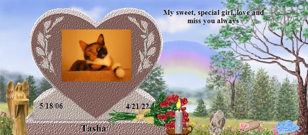 Tasha's Rainbow Bridge Pet Loss Memorial Residency Image
