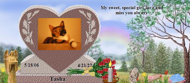 Tasha's Rainbow Bridge Pet Loss Memorial Residency Image