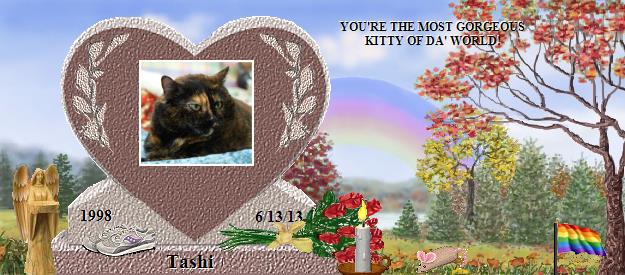 Tashi's Rainbow Bridge Pet Loss Memorial Residency Image