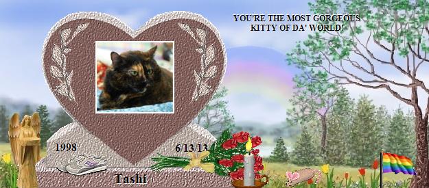 Tashi's Rainbow Bridge Pet Loss Memorial Residency Image