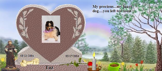 Taz's Rainbow Bridge Pet Loss Memorial Residency Image