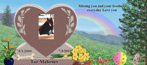 Taz-Mahoney's Rainbow Bridge Pet Loss Memorial Residency Image