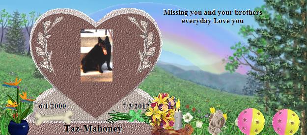 Taz-Mahoney's Rainbow Bridge Pet Loss Memorial Residency Image