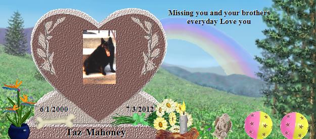 Taz-Mahoney's Rainbow Bridge Pet Loss Memorial Residency Image