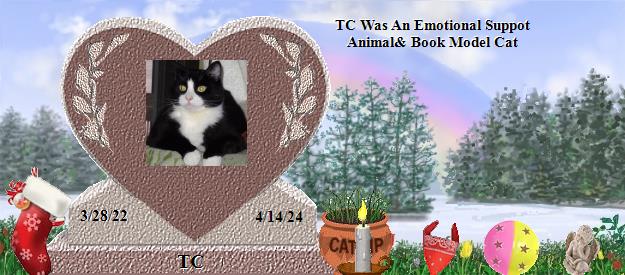 TC's Rainbow Bridge Pet Loss Memorial Residency Image