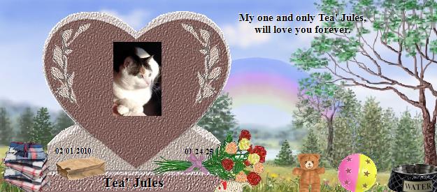 Tea' Jules's Rainbow Bridge Pet Loss Memorial Residency Image