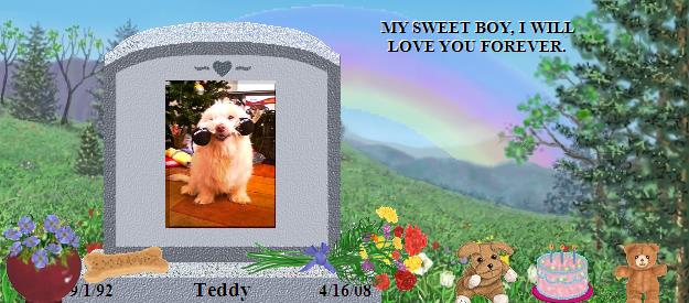 Teddy's Rainbow Bridge Pet Loss Memorial Residency Image
