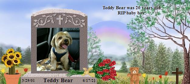 Teddy Bear's Rainbow Bridge Pet Loss Memorial Residency Image