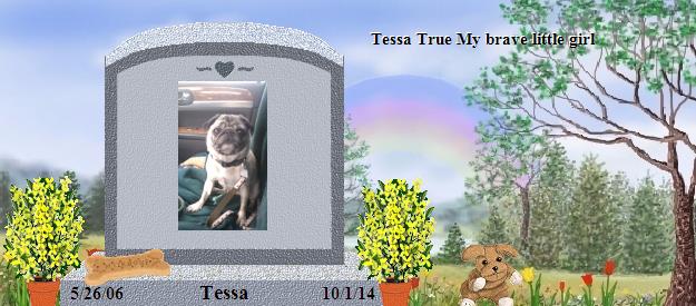 Tessa's Rainbow Bridge Pet Loss Memorial Residency Image
