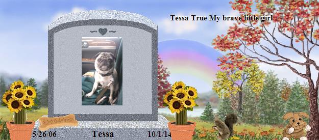 Tessa's Rainbow Bridge Pet Loss Memorial Residency Image