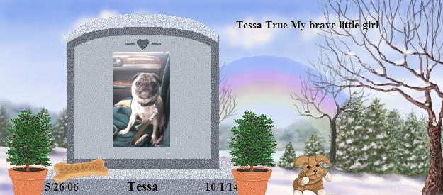 Tessa's Rainbow Bridge Pet Loss Memorial Residency Image