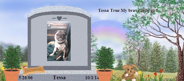 Tessa's Rainbow Bridge Pet Loss Memorial Residency Image
