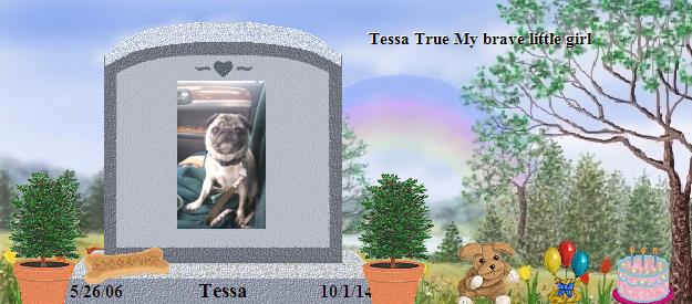 Tessa's Rainbow Bridge Pet Loss Memorial Residency Image