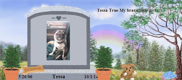 Tessa's Rainbow Bridge Pet Loss Memorial Residency Image