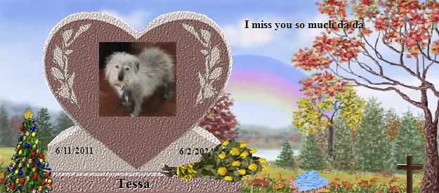 Tessa's Rainbow Bridge Pet Loss Memorial Residency Image