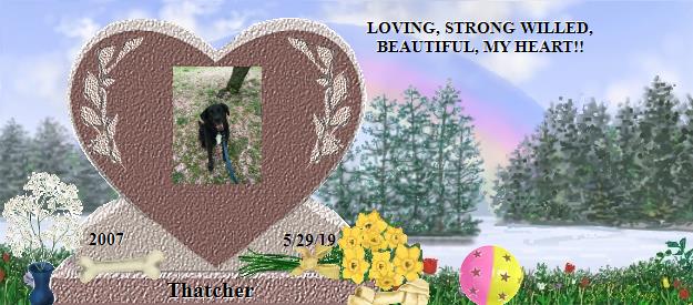 Thatcher's Rainbow Bridge Pet Loss Memorial Residency Image