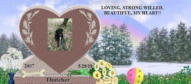 Thatcher's Rainbow Bridge Pet Loss Memorial Residency Image